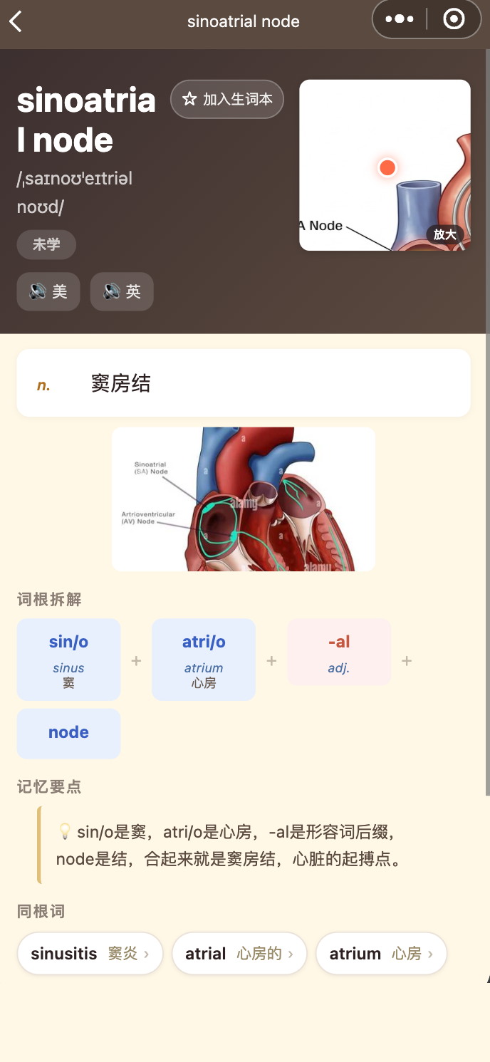 METS词根记词条详情